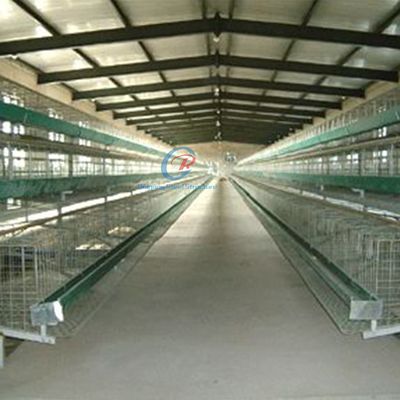 Galvanizli çelik yapısı yalıtımlı panellerle özel yapılmış tavuk evi