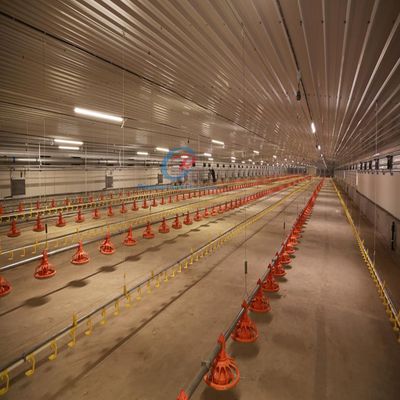 Ekonomik Çelik Binalar Özel Çelik Çerçeve Bina İnşaatı