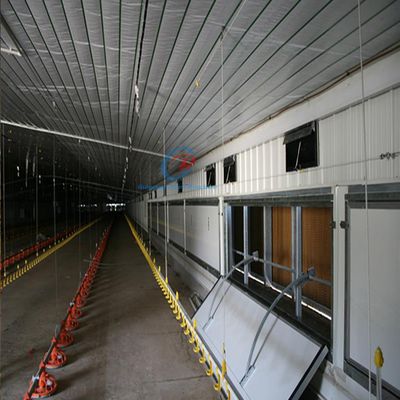 Tavuk Çiftliği Çelik Yapılar, Q235 Q345 Çelik Sığır Yapıları