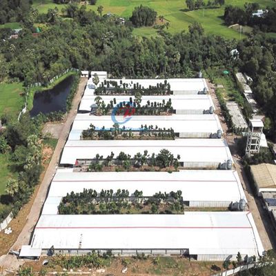 Galvanizli Çelik Yapı Tavuk Evi Bina Çiftlik Tavuk Kulübü Çelik Çerçeve Prefabrik