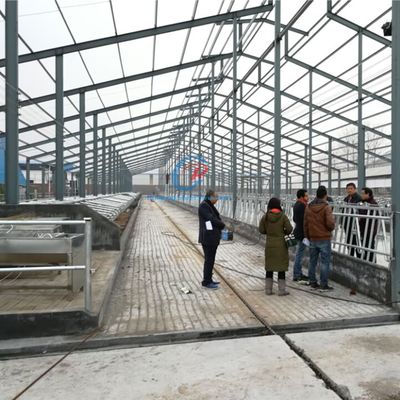 Hafif Çelik Yapı Sığır Ahırı Hazırdan Yapılmış Çelik Çerçeve Çiftlik Binaları