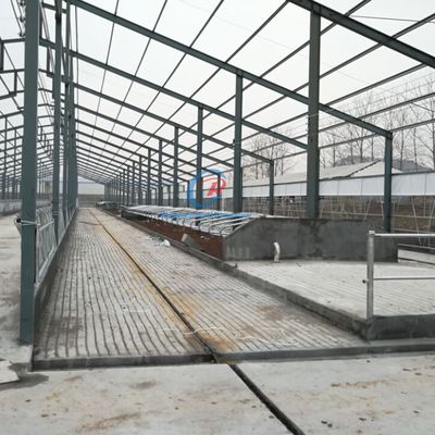 Dayanıklı dikilen çelik çerçeve bina özelleştirilmiş çelik çerçeve çiftlik binaları