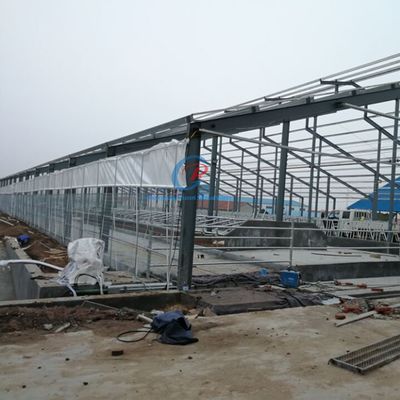 Prefabrik Çelik Yapı Sığır Çadırı Özel Çelik Çerçeve Çadırı