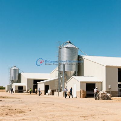 Prefab çelik yapısı Tavuk evi Özel çelik çerçeve tavuk küpü